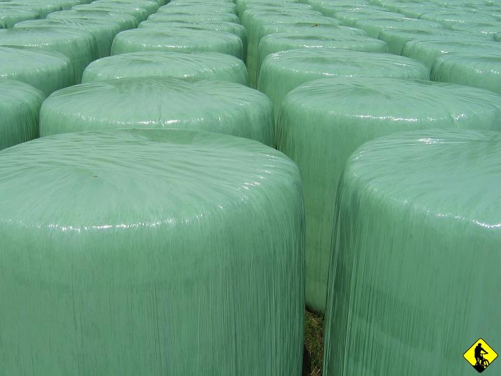 Karta1_ 043.jpg - Powrót tą samą drogą.